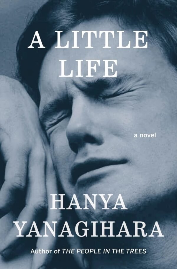 A Little Life Novel